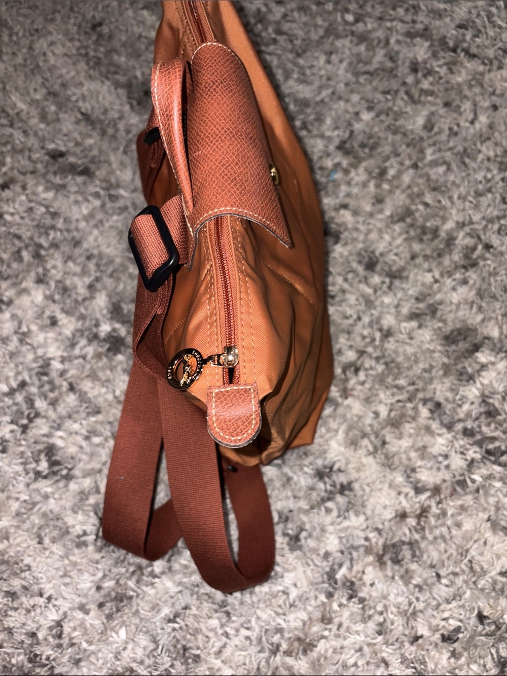 Longchamp backpack - Picture 2 of 14